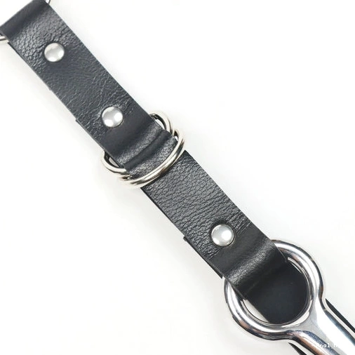 Anal Leash 5853 and Collar Kinky Hook EverydayUse with 1016